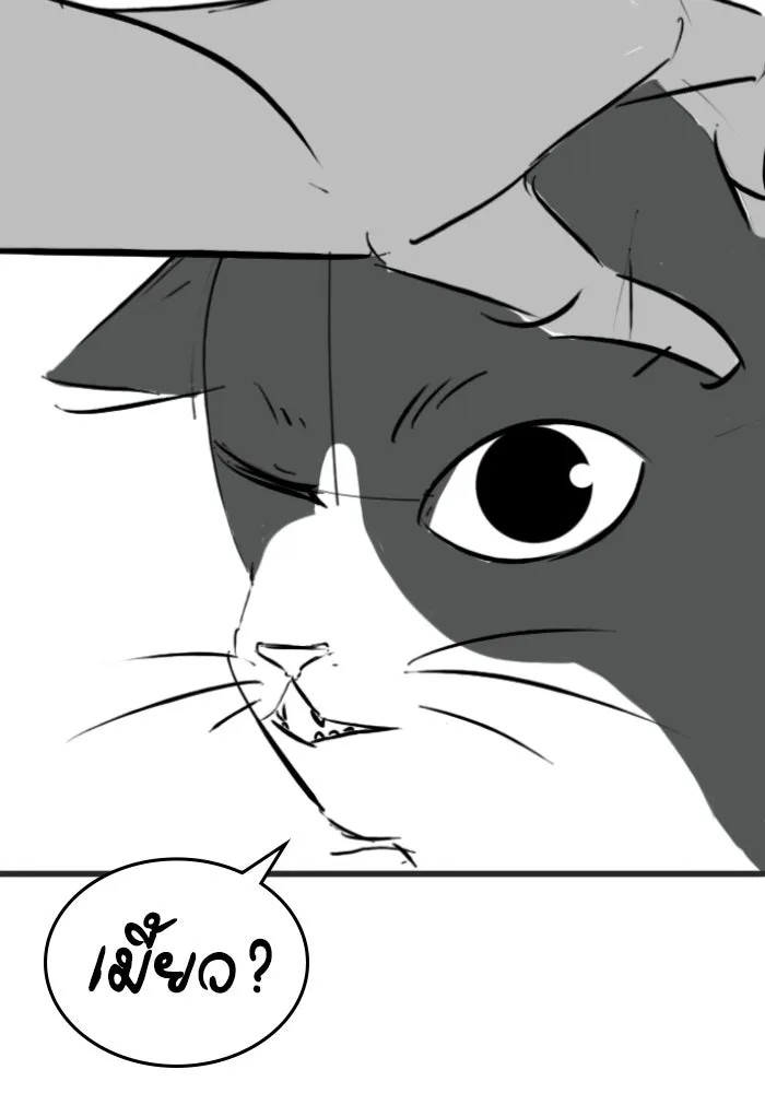 Reality Quest ตอนที่ ตอนพิเศษ  ภาษาแมว รูปที่ 40