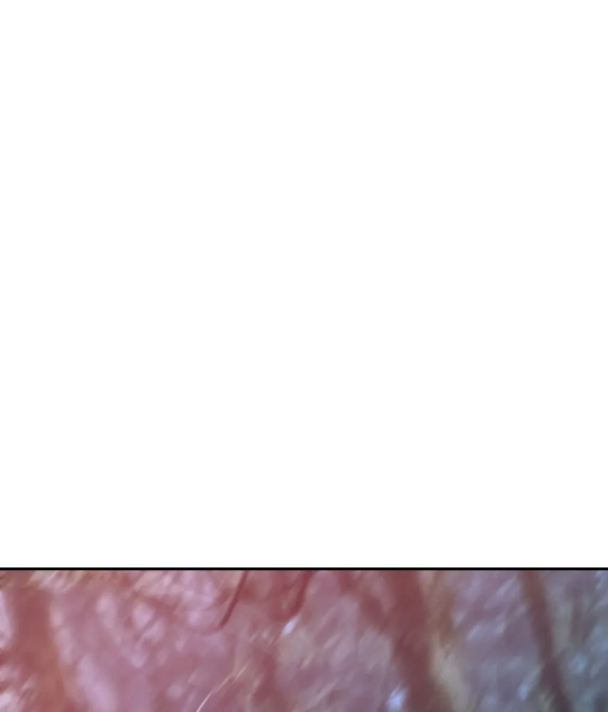 จันทร์เจ้า ตอนที่ ตอนที่ ๓๙  เข้ามาใกล้ ๆ สิ รูปที่ 41