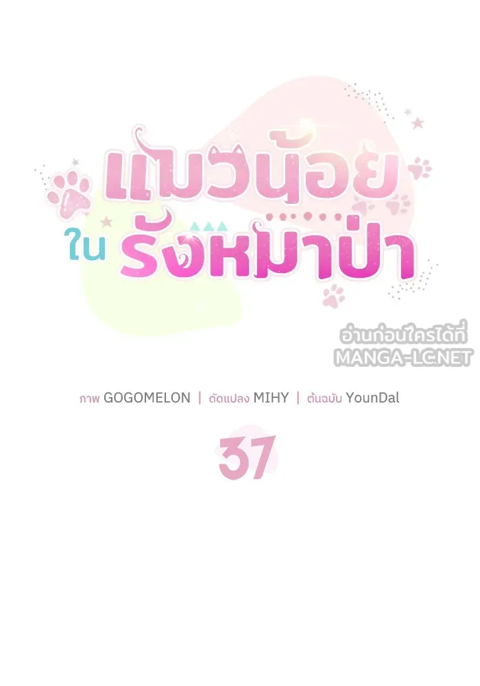 แมวน้อยในรังหมาป่า ตอนที่ 37 รูปที่ 27