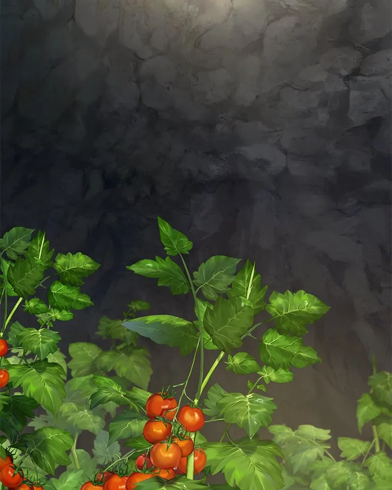 ปลูกผักพิชิตหอคอย ตอนที่ 30 รูปที่ 167