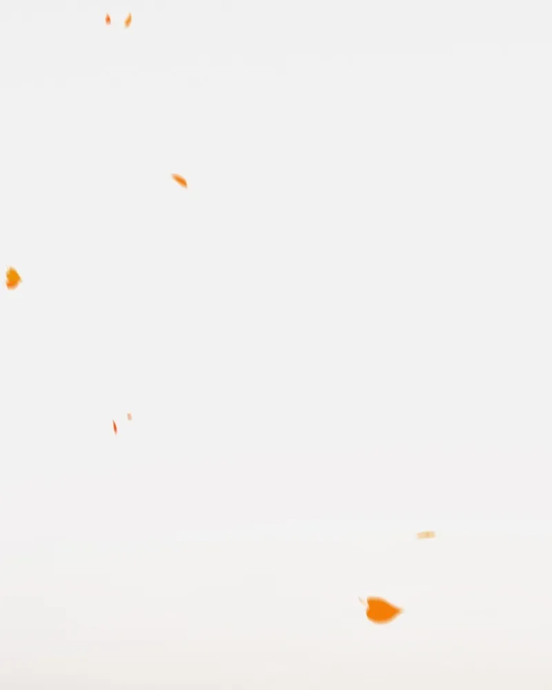 เซเรน่า ตอนที่ 45 รูปที่ 88