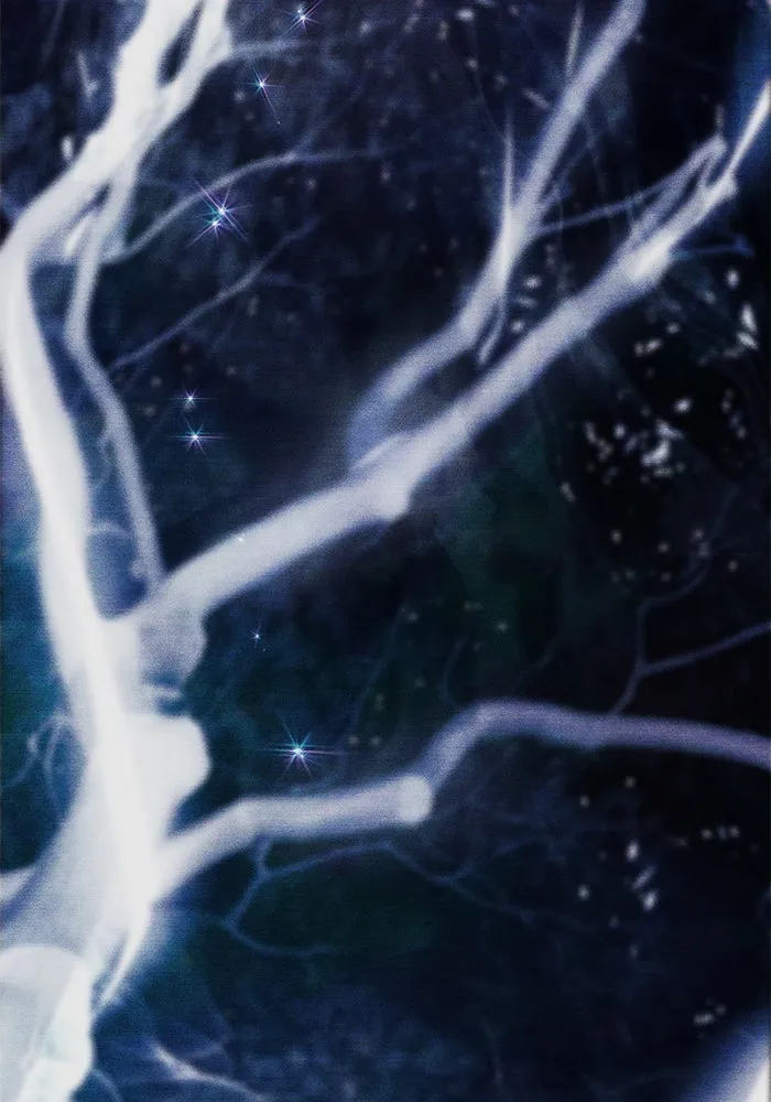 My S-Class Hunters ตอนที่ 92 เจ้านายของเหล่ามังกรคำสาปพิษ ( รูปที่ 71