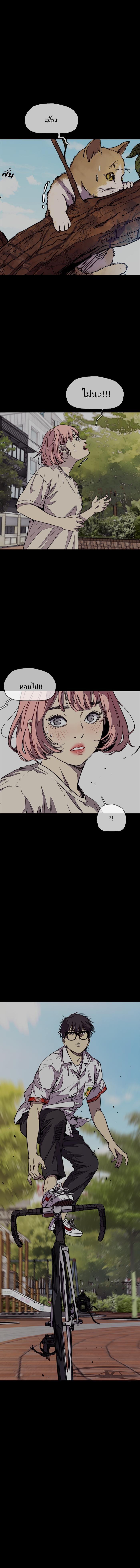 Manga-lc-com อ่านมังงะ อ่านการ์ตูน ออนไลน์ ฟรี Wind Breaker ปั่นสู้ฝัน ตอนที่ 1 2 3 4 5 6 7 8 9 10 11 12 13 14 ฟรี ไม่มีโฆษณา Manga-lc - อ่าน มังงะ อ่าน การ์ตูน ออนไลน์ อ่านมังงะ ฟรี