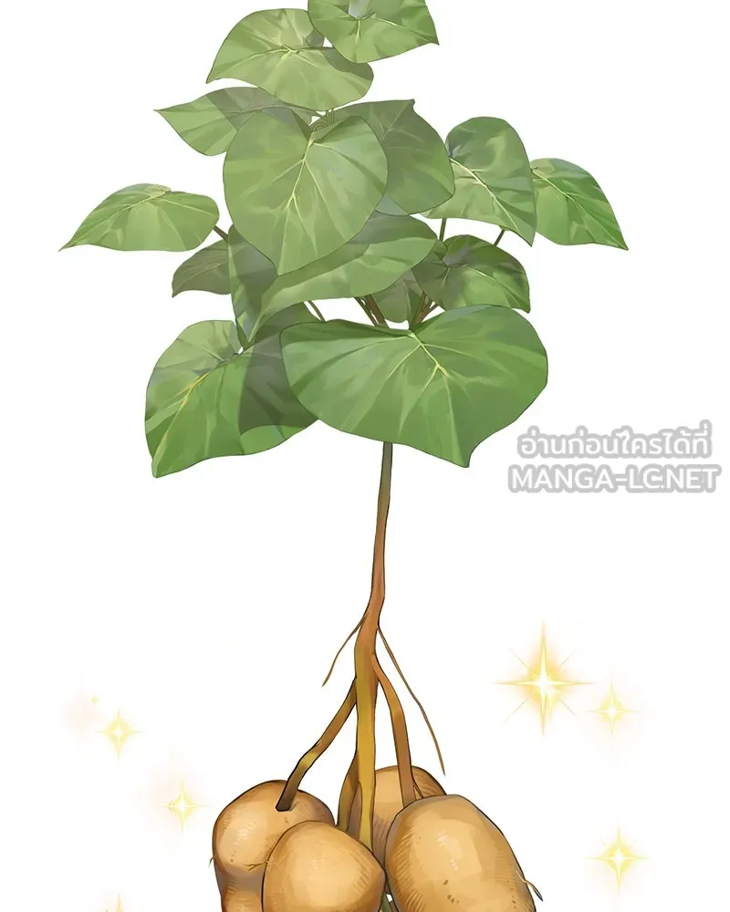 ปลูกผักพิชิตหอคอย ตอนที่ 52 รูปที่ 192