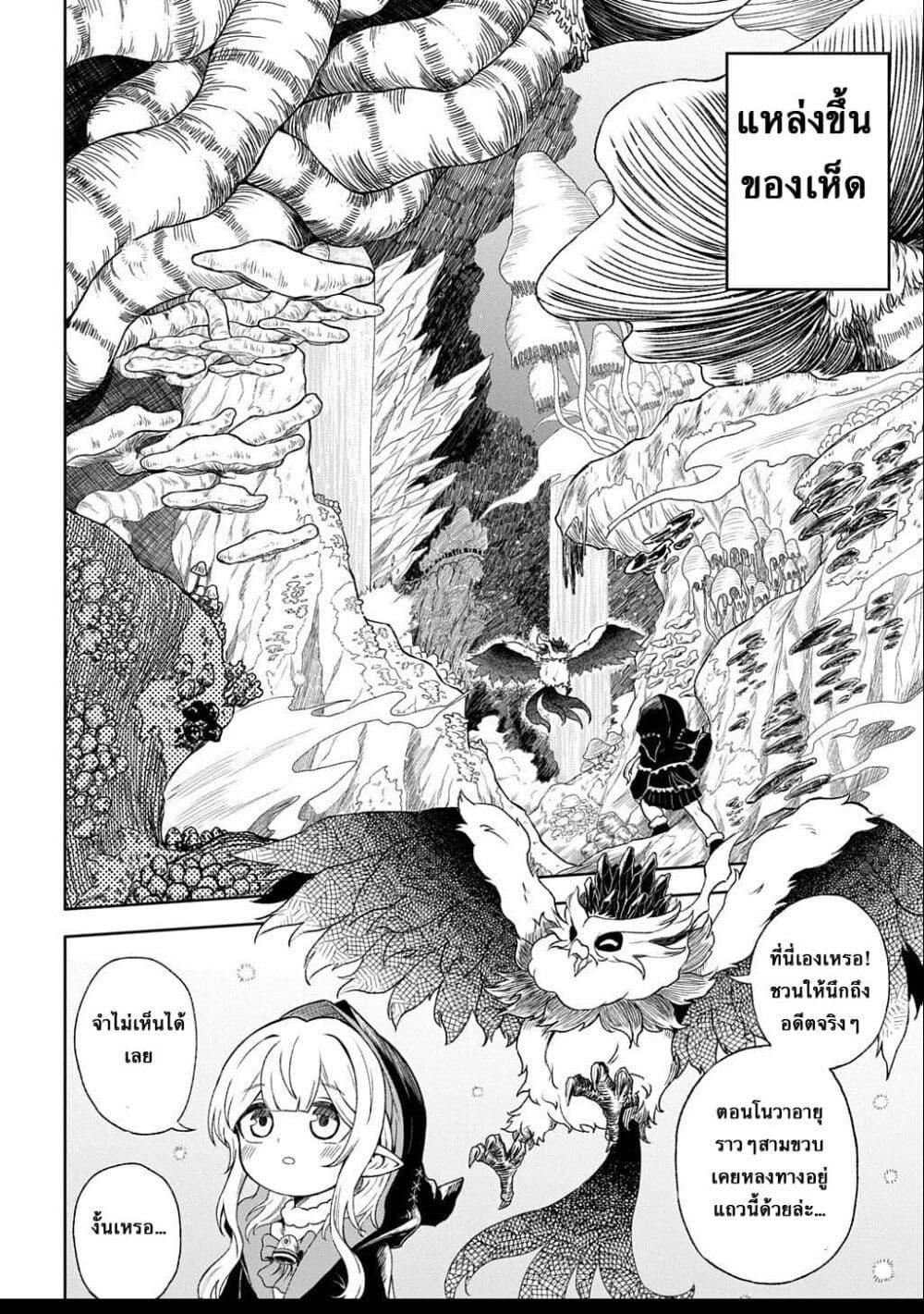 Manga-lc-com อ่านมังงะ อ่านการ์ตูน ออนไลน์ ฟรี Mamono no Mori no Shoujo Nova ตอนที่ 1 2 3 4 5 6 7 8 9 10 11 12 13 14 ฟรี ไม่มีโฆษณา Manga-lc - อ่าน มังงะ อ่าน การ์ตูน ออนไลน์ อ่านมังงะ ฟรี