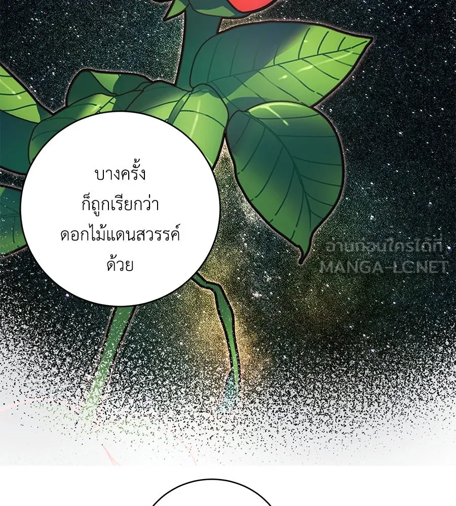 คิมหันต์นิรันดร ตอนที่ 35 รูปที่ 120