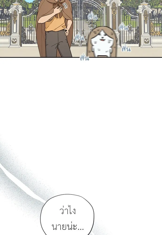 อัศวินเดลิเวอรี ตอนที่ 12 สนใจทำข้อตกลงกับฉันดูไหม รูปที่ 4