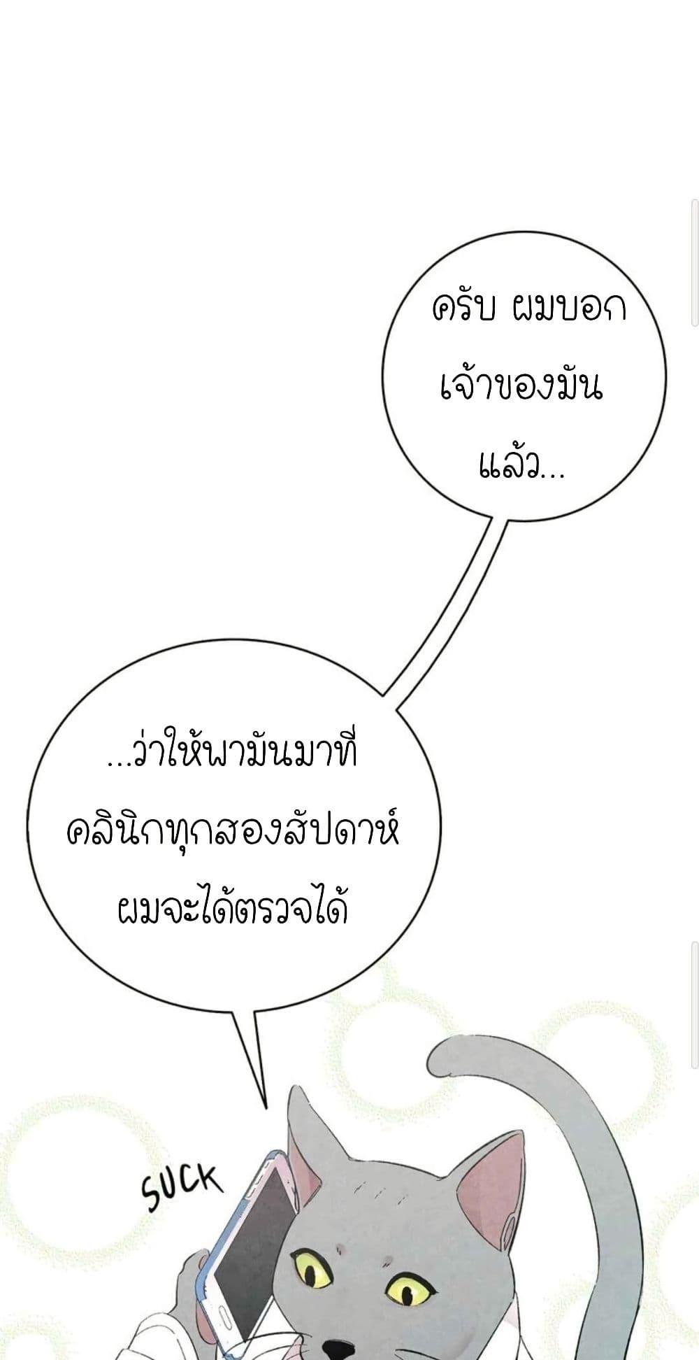 Manga-lc-com อ่านมังงะ อ่านการ์ตูน ออนไลน์ ฟรี The Skeleton Becomes a Cat Dad ตอนที่ 1 2 3 4 5 6 7 8 9 10 11 12 13 14 ฟรี ไม่มีโฆษณา Manga-lc - อ่าน มังงะ อ่าน การ์ตูน ออนไลน์ อ่านมังงะ ฟรี