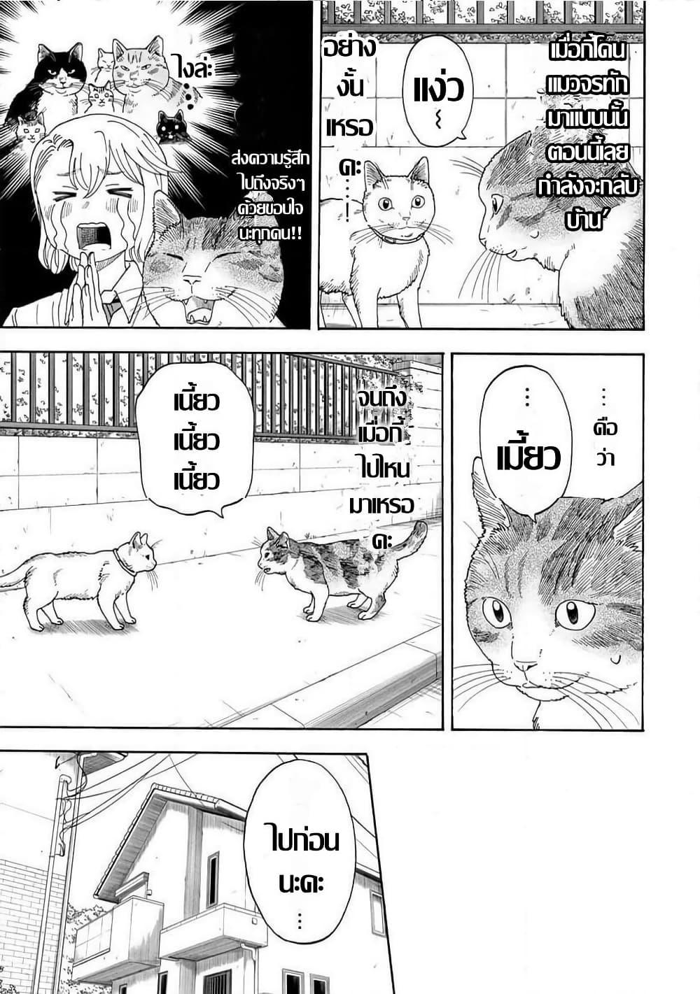 Manga-lc-com อ่านมังงะ อ่านการ์ตูน ออนไลน์ ฟรี Yuzuki Becomes A Cat ตอนที่ 1 2 3 4 5 6 7 8 9 10 11 12 13 14 ฟรี ไม่มีโฆษณา Manga-lc - อ่าน มังงะ อ่าน การ์ตูน ออนไลน์ อ่านมังงะ ฟรี