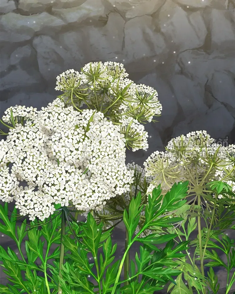 ปลูกผักพิชิตหอคอย ตอนที่ 22 รูปที่ 12