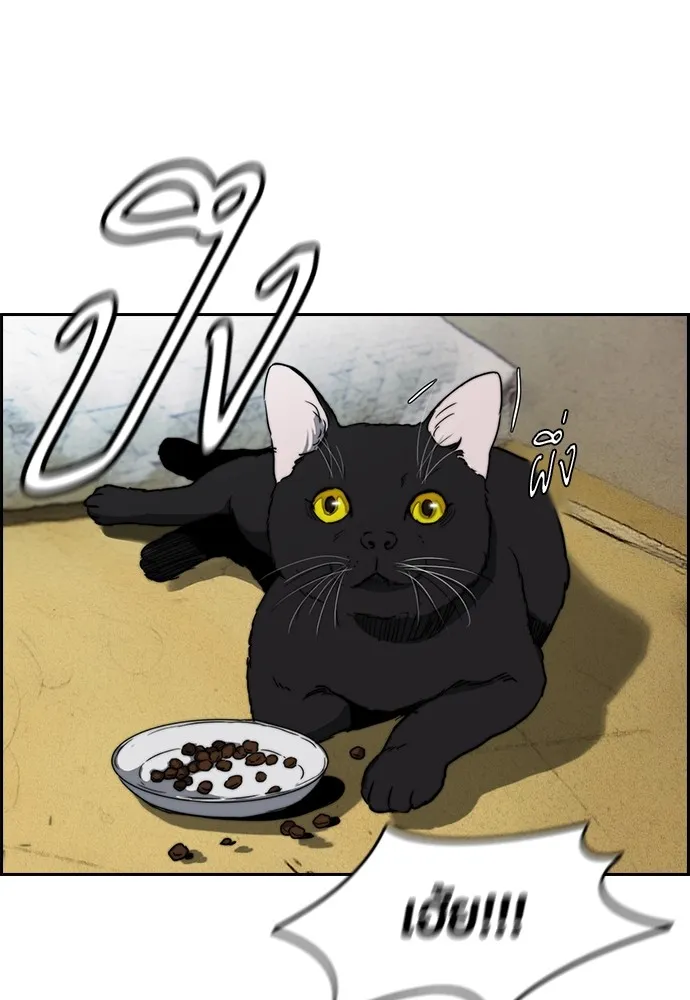 ปั่นสู้ฝันbrWind Breaker ตอนที่ 69 รูปที่ 40