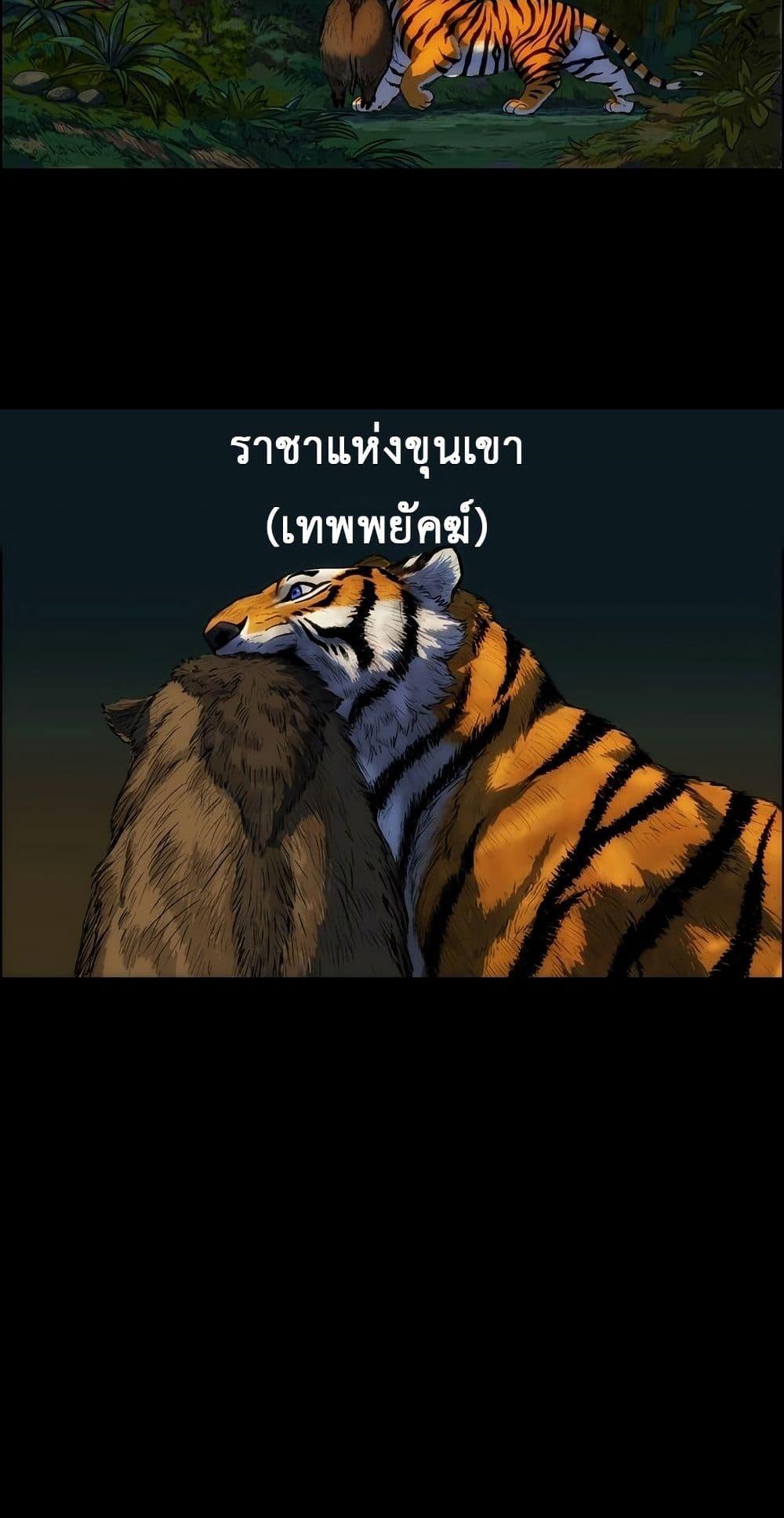 Manga-lc-com อ่านมังงะ อ่านการ์ตูน ออนไลน์ ฟรี Tiger Brother ตอนที่ 1 2 3 4 5 6 7 8 9 10 11 12 13 14 ฟรี ไม่มีโฆษณา Manga-lc - อ่าน มังงะ อ่าน การ์ตูน ออนไลน์ อ่านมังงะ ฟรี
