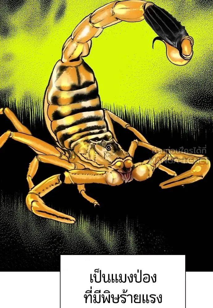 Jungle Juice ตอนที่ 164 รูปที่ 136