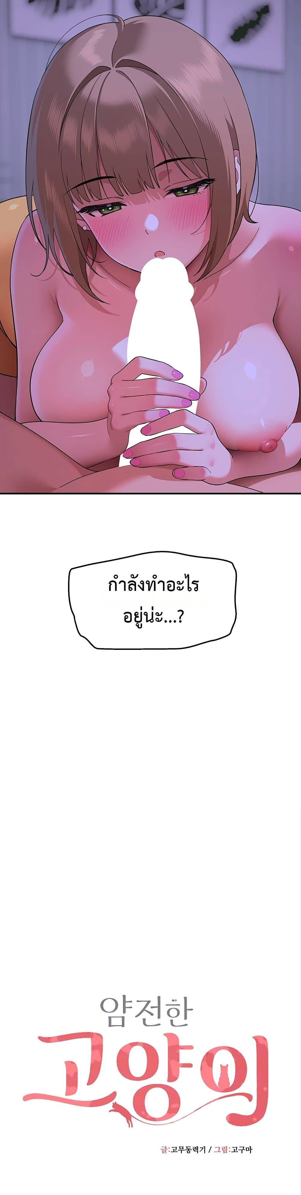 Doujin-Lc- อ่าน โดจิน มังฮวา เกาหลี ญี่ปุ่น จีน แปลไทย A Quiet Cat ตอนที่ 1 2 3 4 5 6 7 8 9 10 11 12 13 14 ฟรี ไม่มีโฆษณา อ่าน โดจิน Manhwa เกาหลี ญี่ปุ่น จีน เรามีครบ คัดมาให้เน้นๆ โดจิน 18+ รับประกันความฟินโดย  Doujin Lc