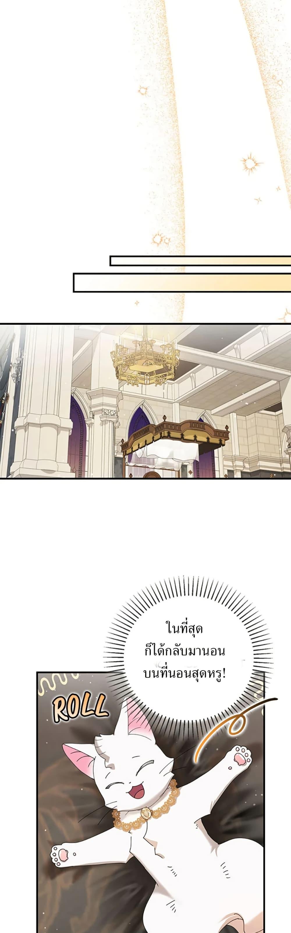 Manga-lc-com อ่านมังงะ อ่านการ์ตูน ออนไลน์ ฟรี I Became the Emperor’s Cat ตอนที่ 1 2 3 4 5 6 7 8 9 10 11 12 13 14 ฟรี ไม่มีโฆษณา Manga-lc - อ่าน มังงะ อ่าน การ์ตูน ออนไลน์ อ่านมังงะ ฟรี