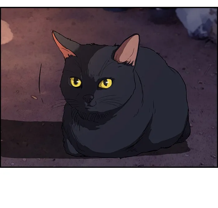 ปั่นสู้ฝันbrWind Breaker ตอนที่ 40 รูปที่ 47