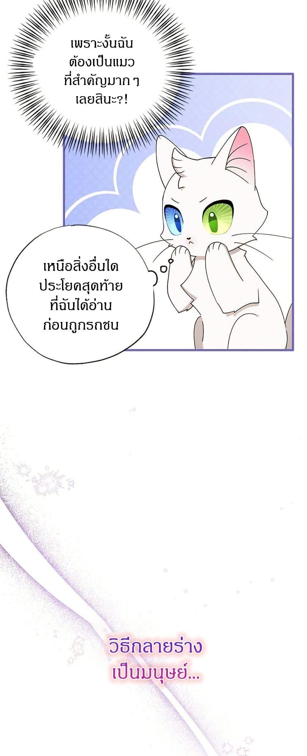 Manga-lc-com อ่านมังงะ อ่านการ์ตูน ออนไลน์ ฟรี I Became the Emperor’s Cat ตอนที่ 1 2 3 4 5 6 7 8 9 10 11 12 13 14 ฟรี ไม่มีโฆษณา Manga-lc - อ่าน มังงะ อ่าน การ์ตูน ออนไลน์ อ่านมังงะ ฟรี
