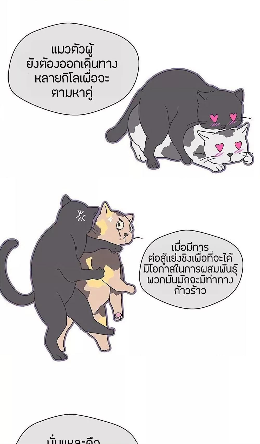 Doujin-Lc- อ่าน โดจิน มังฮวา เกาหลี ญี่ปุ่น จีน แปลไทย Love Navigation ตอนที่ 1 2 3 4 5 6 7 8 9 10 11 12 13 14 ฟรี ไม่มีโฆษณา อ่าน โดจิน Manhwa เกาหลี ญี่ปุ่น จีน เรามีครบ คัดมาให้เน้นๆ โดจิน 18+ รับประกันความฟินโดย  Doujin Lc