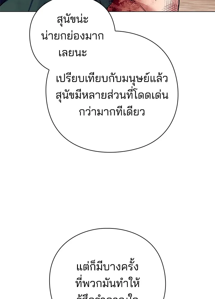 คืนแห่งโทแกบี ตอนที่ 31 รูปที่ 62