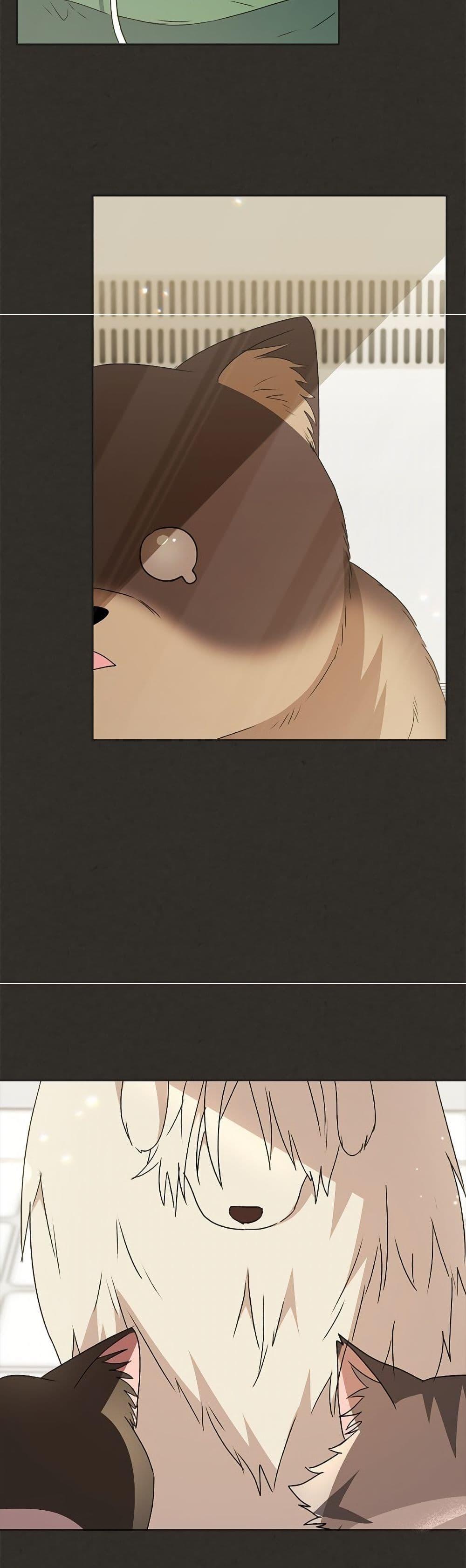 Manga-lc-com อ่านมังงะ อ่านการ์ตูน ออนไลน์ ฟรี Hello! Veterinarian! ตอนที่ 1 2 3 4 5 6 7 8 9 10 11 12 13 14 ฟรี ไม่มีโฆษณา Manga-lc - อ่าน มังงะ อ่าน การ์ตูน ออนไลน์ อ่านมังงะ ฟรี