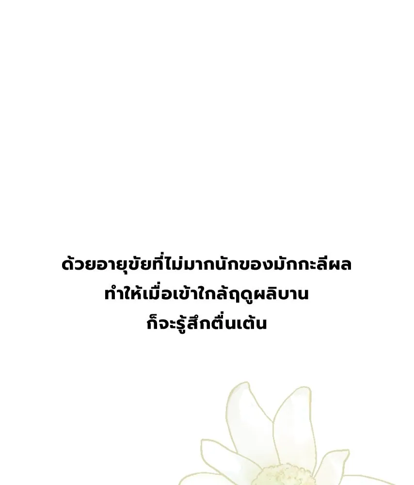 จันทร์เจ้า ตอนที่ ตอนที่ ๔๙  ไหนเจ้าบอกว่า… รูปที่ 73