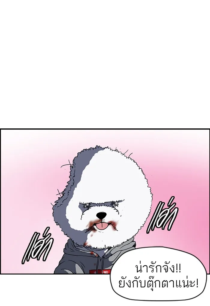 ปั่นสู้ฝันbrWind Breaker ตอนที่ 37 รูปที่ 4