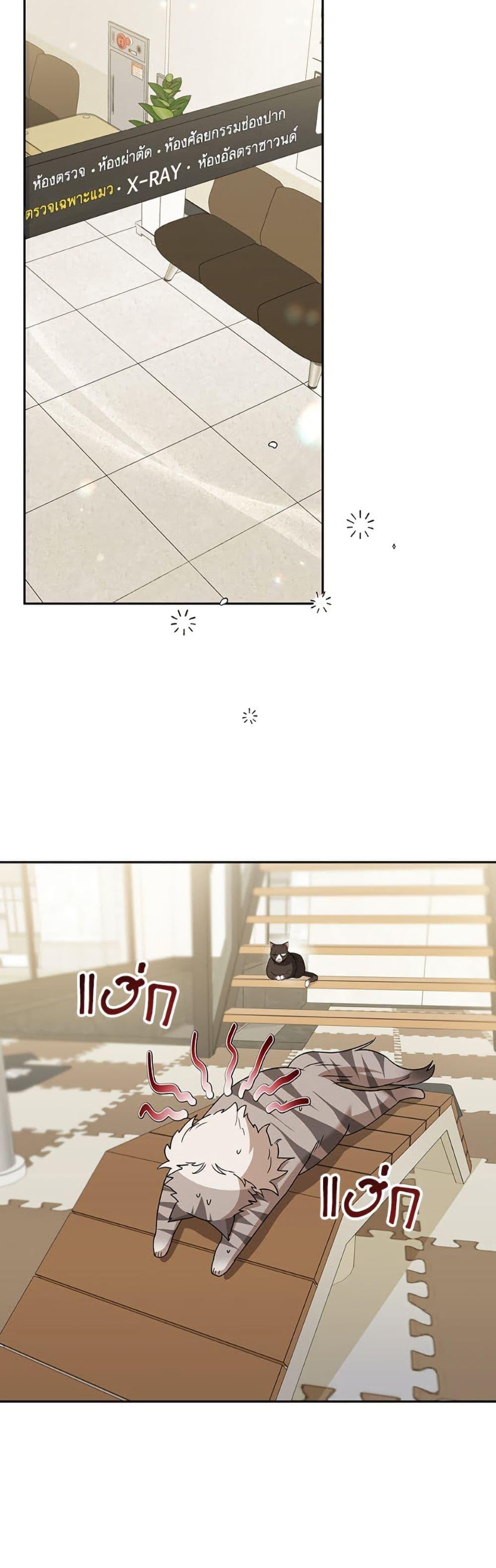 Manga-lc-com อ่านมังงะ อ่านการ์ตูน ออนไลน์ ฟรี Hello! Veterinarian! ตอนที่ 1 2 3 4 5 6 7 8 9 10 11 12 13 14 ฟรี ไม่มีโฆษณา Manga-lc - อ่าน มังงะ อ่าน การ์ตูน ออนไลน์ อ่านมังงะ ฟรี