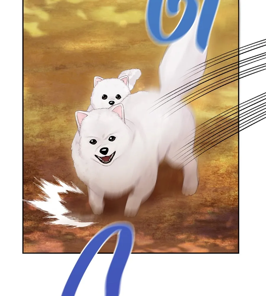 บาสเตียน ตอนที่ 43 รูปที่ 14