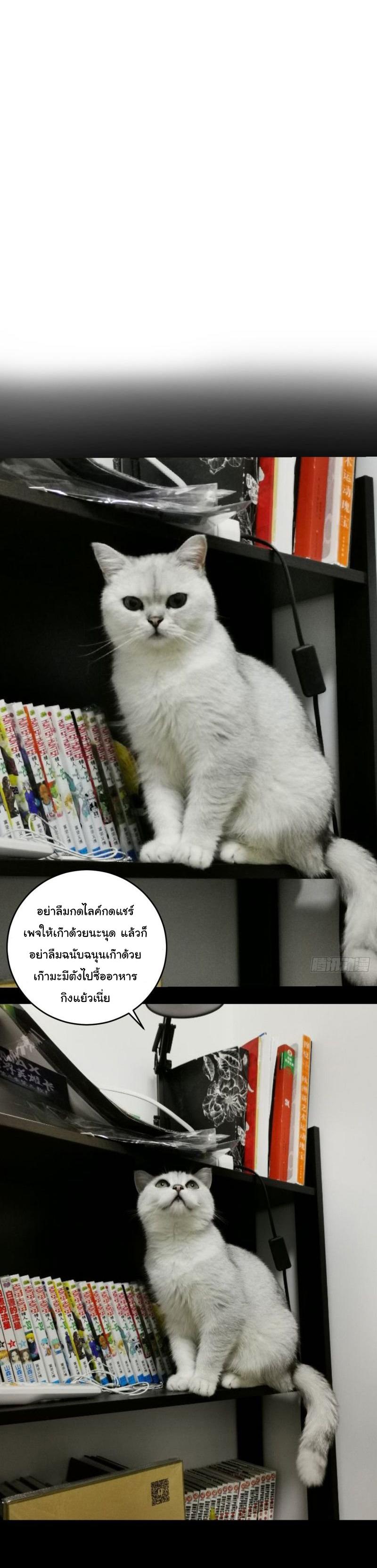 Manga-lc-com อ่านมังงะ อ่านการ์ตูน ออนไลน์ ฟรี King star emperor ตอนที่ 1 2 3 4 5 6 7 8 9 10 11 12 13 14 ฟรี ไม่มีโฆษณา Manga-lc - อ่าน มังงะ อ่าน การ์ตูน ออนไลน์ อ่านมังงะ ฟรี