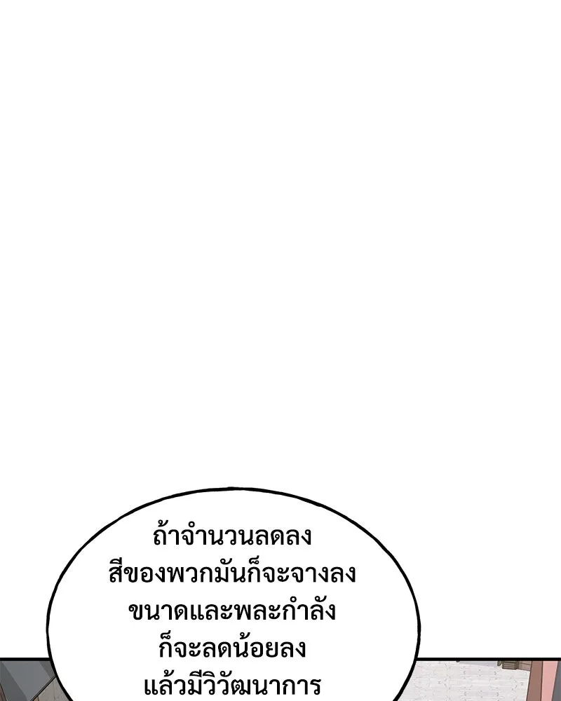 ปลูกผักพิชิตหอคอย ตอนที่ 93 รูปที่ 185