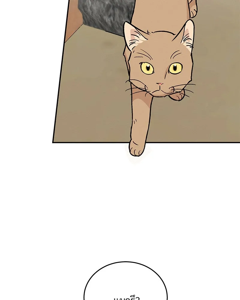 ข้าต้องไม่ใช่พระชายา ตอนที่ 16 รูปที่ 77