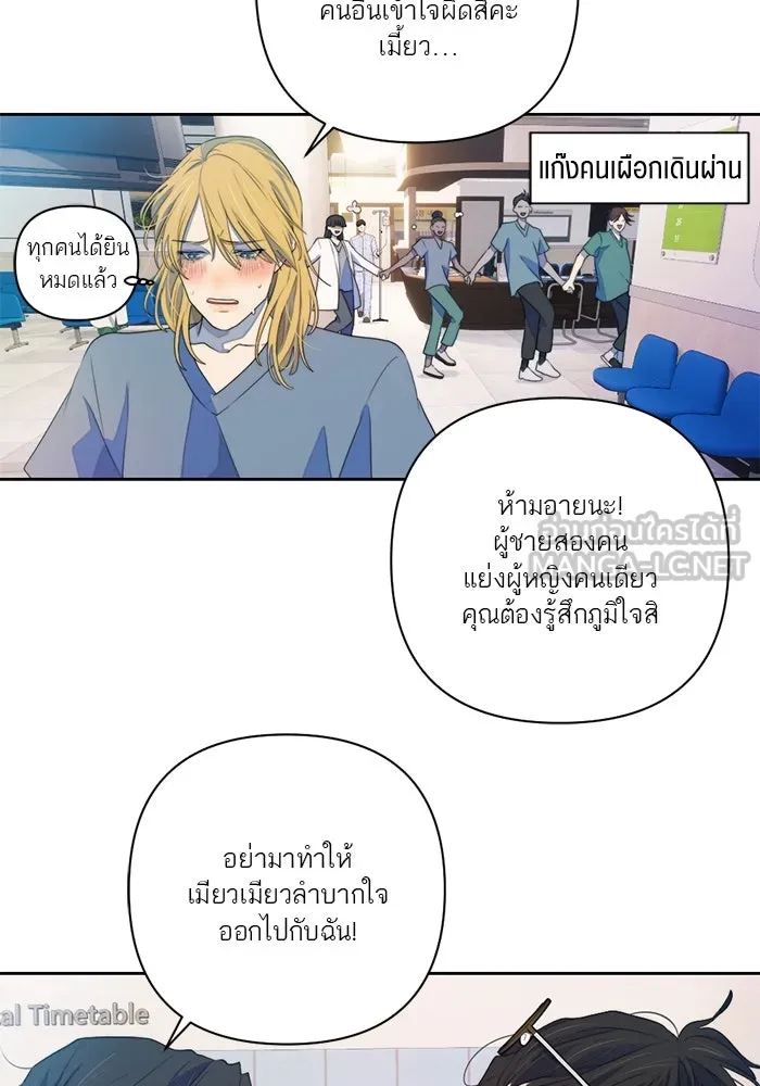 เปย์นี้เพื่อนาย My Sugar Baby ตอนที่ 62 เป้าหมายใหม่ของฮอลล์ รูปที่ 42