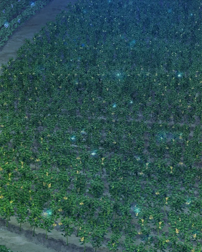 ปลูกผักพิชิตหอคอย ตอนที่ 81 รูปที่ 206