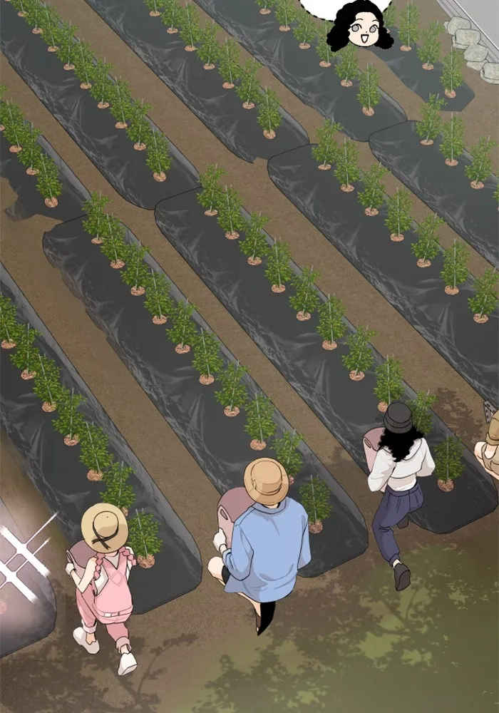 จริง ๆ แล้ว โอบารัมน่ะ… ตอนที่ 52 รูปที่ 11