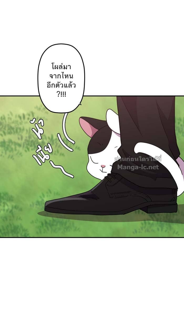Doujin-Lc- อ่าน โดจิน มังฮวา เกาหลี ญี่ปุ่น จีน แปลไทย Take My Money รักนี้...มีเปย์ ตอนที่ 1 2 3 4 5 6 7 8 9 10 11 12 13 14 ฟรี ไม่มีโฆษณา อ่าน โดจิน Manhwa เกาหลี ญี่ปุ่น จีน เรามีครบ คัดมาให้เน้นๆ โดจิน 18+ รับประกันความฟินโดย Doujin Lc
