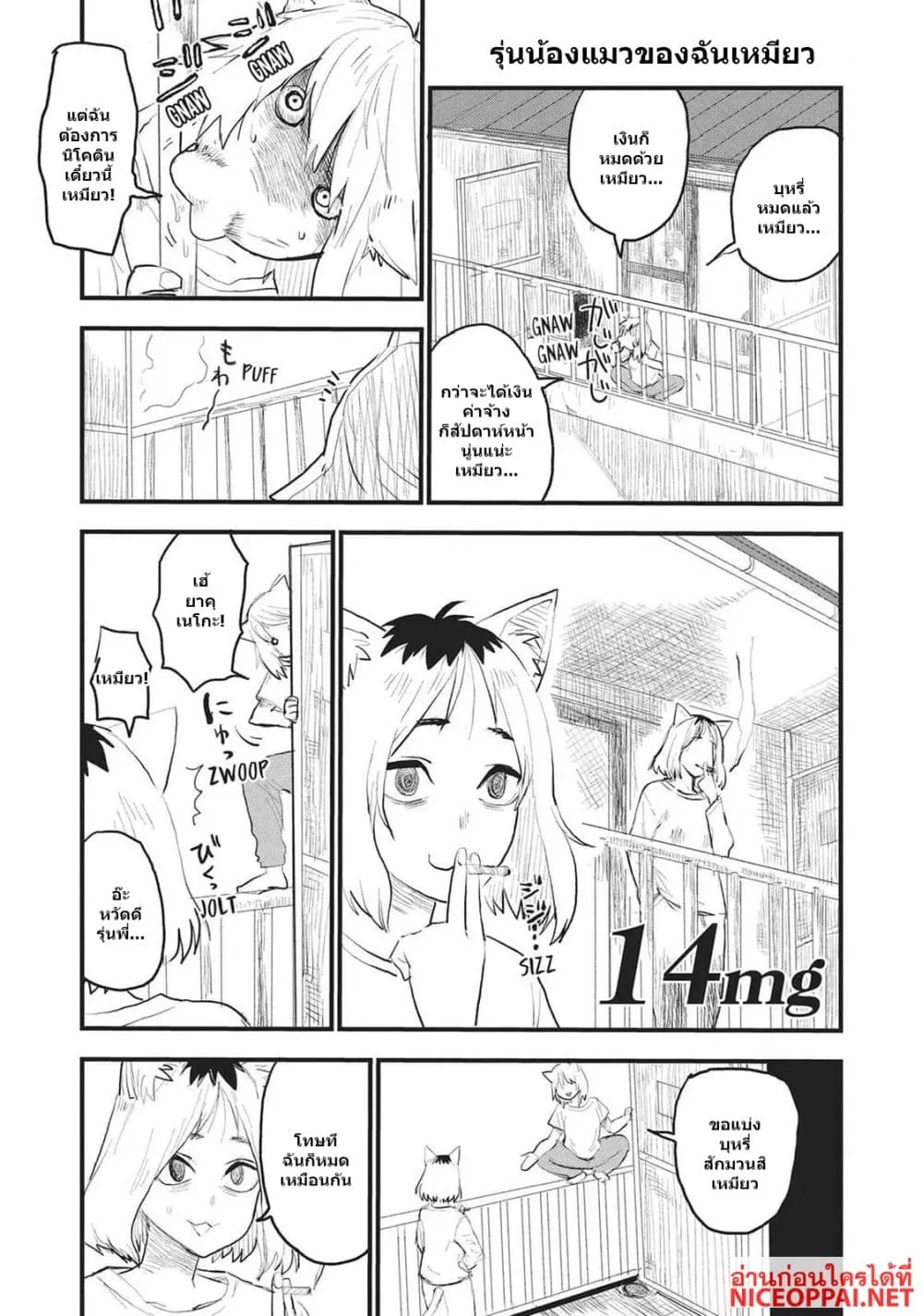 Manga-lc-com อ่านมังงะ อ่านการ์ตูน ออนไลน์ ฟรี Yani Neko ตอนที่ 1 2 3 4 5 6 7 8 9 10 11 12 13 14 ฟรี ไม่มีโฆษณา Manga-lc - อ่าน มังงะ อ่าน การ์ตูน ออนไลน์ อ่านมังงะ ฟรี