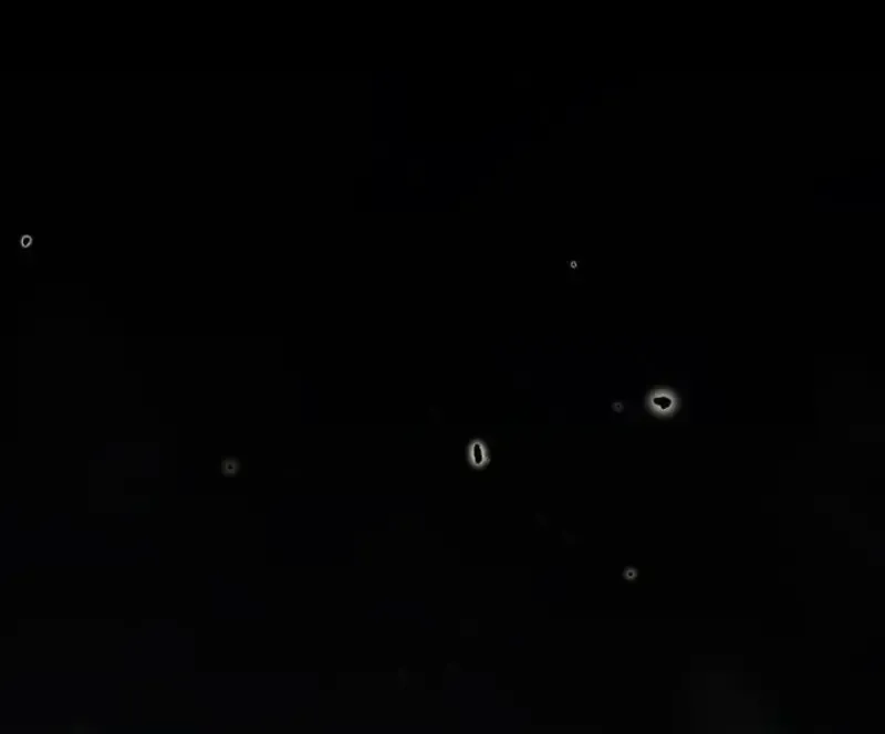 Magic Academy_s Genius Blinker ฉ_นกลายเป_นอ_จฉร_ยะการบล_งค_ในสถาบ_นเวทมนตร_ ตอนที่ ตอนที่ 82 รูปที่ 100