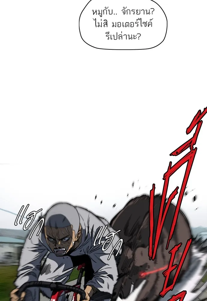 ปั่นสู้ฝันbrWind Breaker ตอนที่ 46 รูปที่ 52