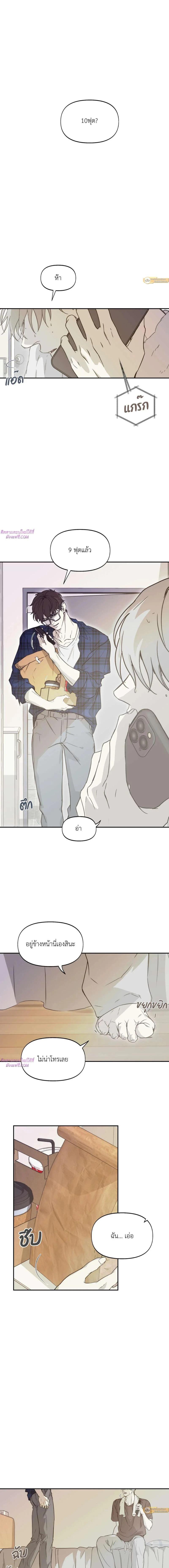 Manga-lc-com อ่านมังงะ อ่านการ์ตูน ออนไลน์ ฟรี Nerd Project ตอนที่ 1 2 3 4 5 6 7 8 9 10 11 12 13 14 ฟรี ไม่มีโฆษณา Manga-lc - อ่าน มังงะ อ่าน การ์ตูน ออนไลน์ อ่านมังงะ ฟรี