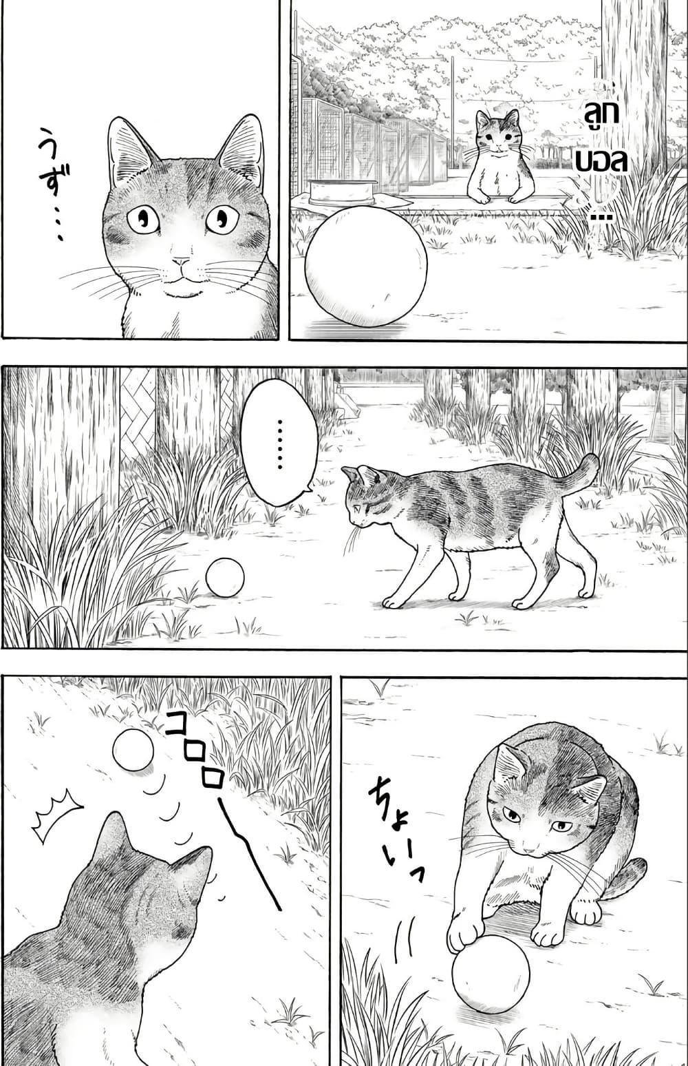 Manga-lc-com อ่านมังงะ อ่านการ์ตูน ออนไลน์ ฟรี Yuzuki Becomes A Cat ตอนที่ 1 2 3 4 5 6 7 8 9 10 11 12 13 14 ฟรี ไม่มีโฆษณา Manga-lc - อ่าน มังงะ อ่าน การ์ตูน ออนไลน์ อ่านมังงะ ฟรี