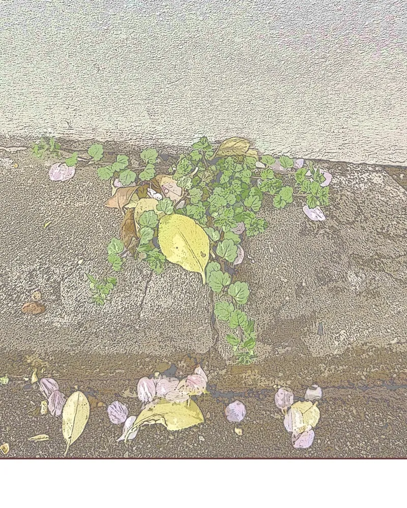 เพียงลมหนาว ตอนที่ 21 รูปที่ 28