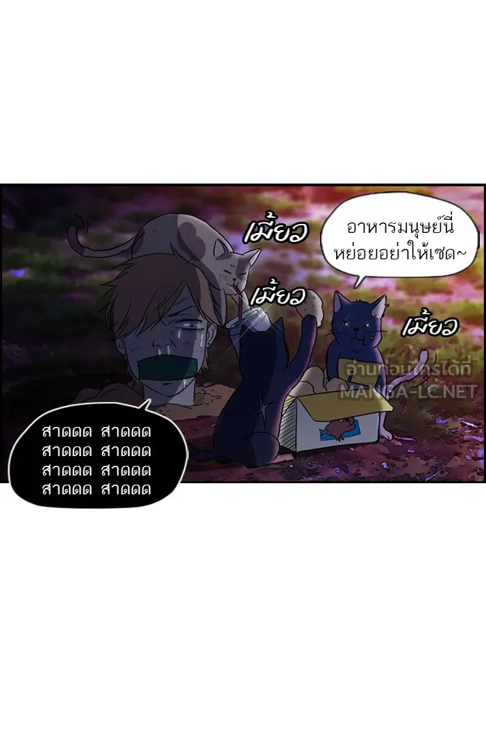 ปั่นสู้ฝันbrWind Breaker ตอนที่ 32 รูปที่ 21