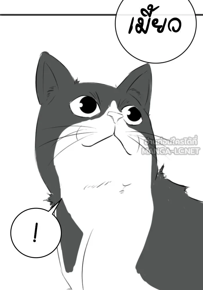 Reality Quest ตอนที่ ตอนพิเศษ  ภาษาแมว รูปที่ 48