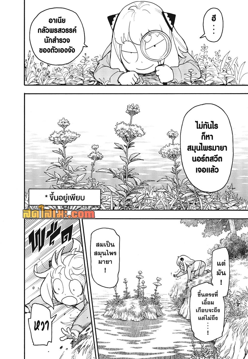 Manga-lc-com อ่านมังงะ อ่านการ์ตูน ออนไลน์ ฟรี Spy X Family ตอนที่ 1 2 3 4 5 6 7 8 9 10 11 12 13 14 ฟรี ไม่มีโฆษณา Manga-lc - อ่าน มังงะ อ่าน การ์ตูน ออนไลน์ อ่านมังงะ ฟรี