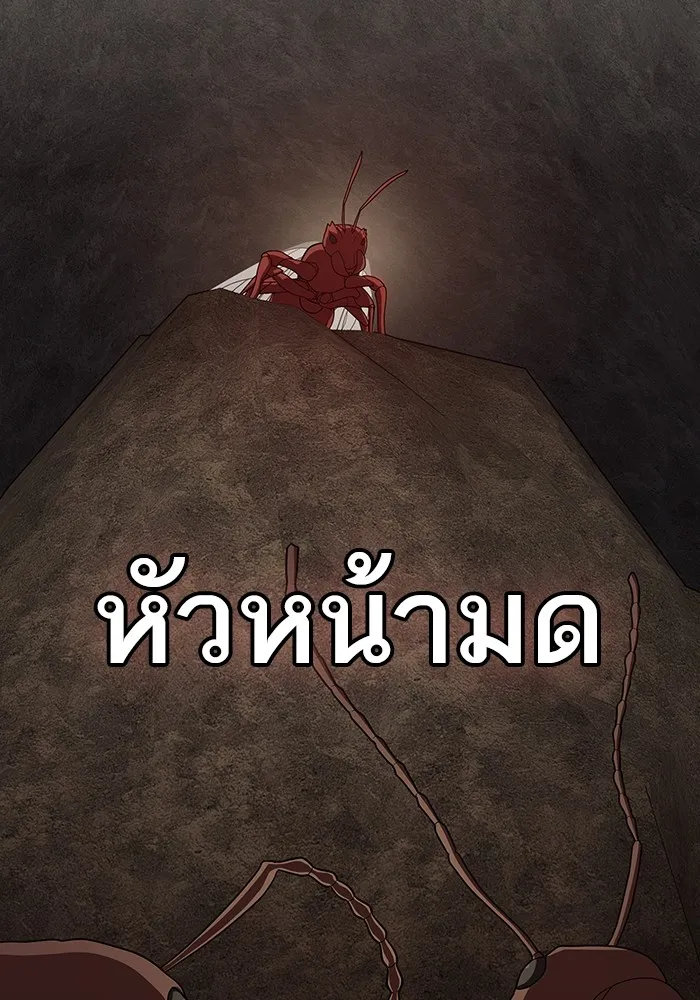 ผู้เล่นขั้นเทพแห่งหอคอยฝึกสอน ตอนที่ 210 รูปที่ 61