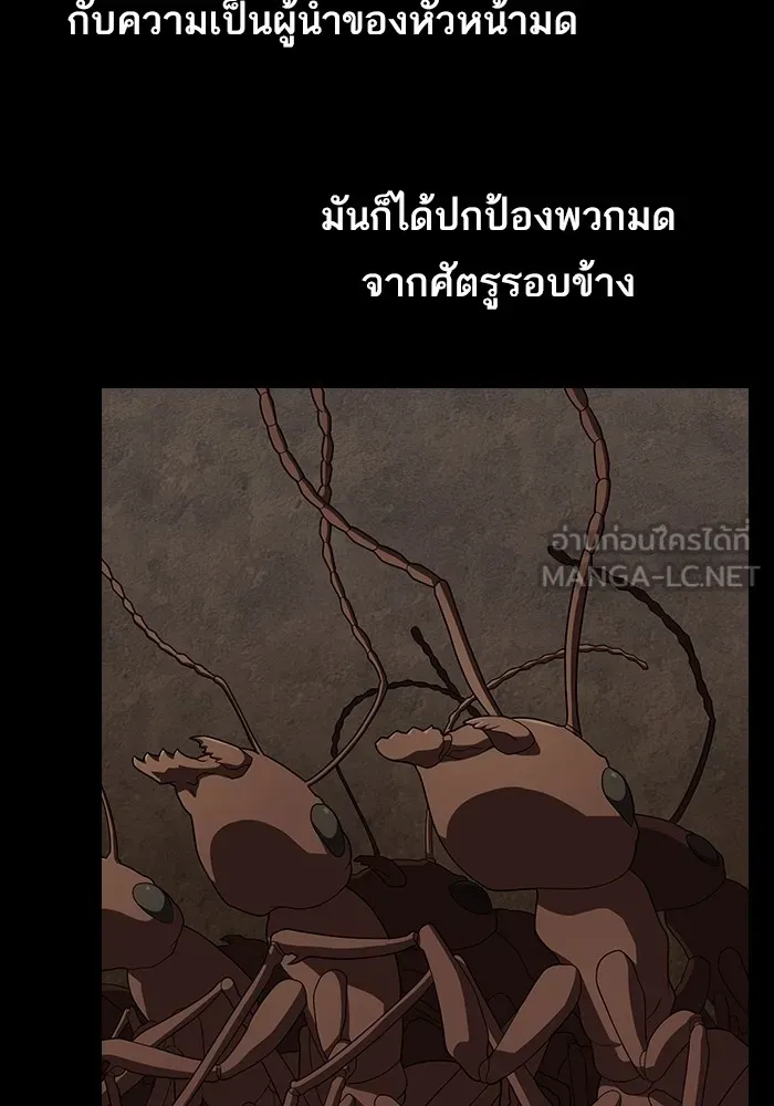 ผู้เล่นขั้นเทพแห่งหอคอยฝึกสอน ตอนที่ 210 รูปที่ 63