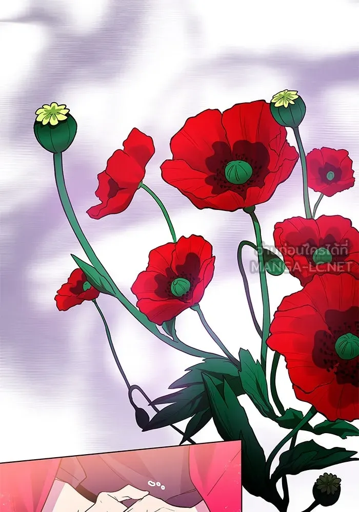 ฟิลเลียโรเซ่กับคำทำนายแห่งมงกุฎหนาม ตอนที่ 42 รูปที่ 66