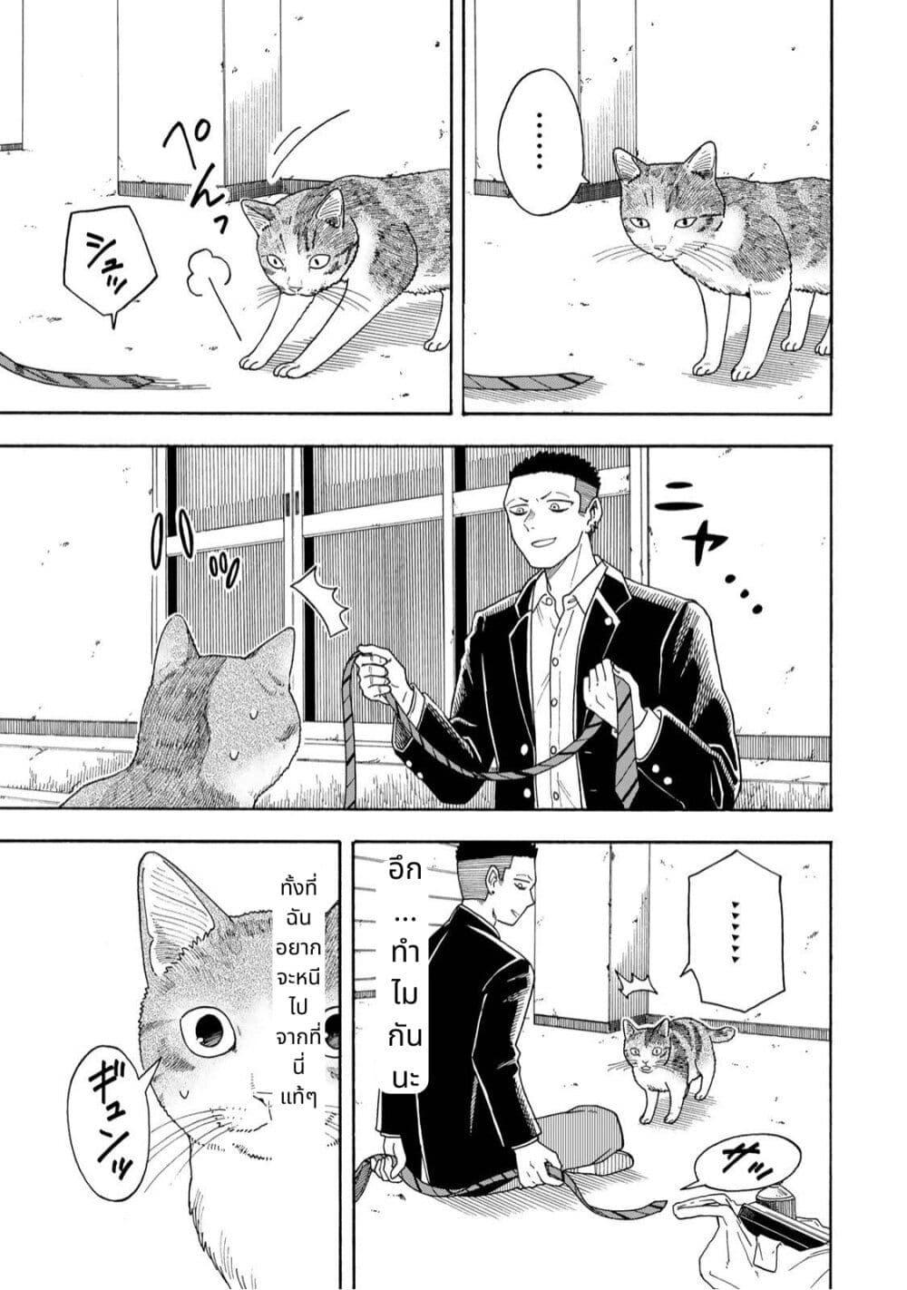 Manga-lc-com อ่านมังงะ อ่านการ์ตูน ออนไลน์ ฟรี Yuzuki Becomes A Cat ตอนที่ 1 2 3 4 5 6 7 8 9 10 11 12 13 14 ฟรี ไม่มีโฆษณา Manga-lc - อ่าน มังงะ อ่าน การ์ตูน ออนไลน์ อ่านมังงะ ฟรี