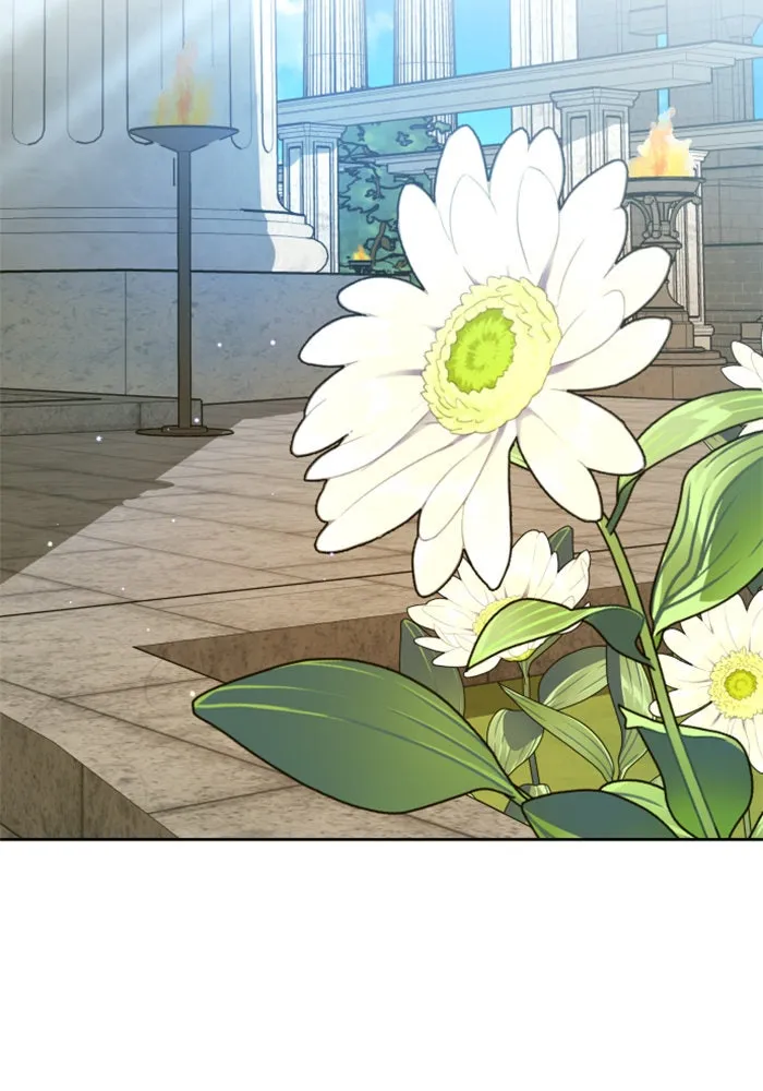 ชิงชีวิตพลิกลิขิตชะตา ตอนที่ 151. สตรีที่ชื่อไซคี โพลี รูปที่ 67