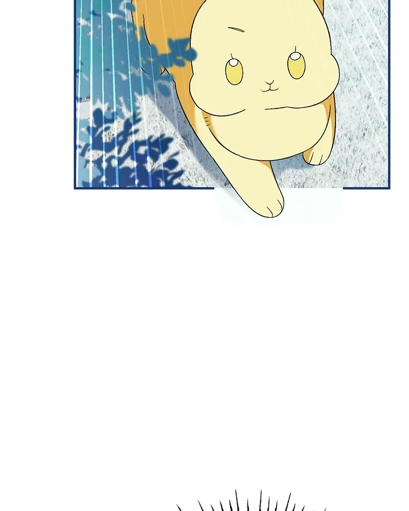 จุ๊บรัก คุณหมาป่า ตอนที่ 11 รูปที่ 68